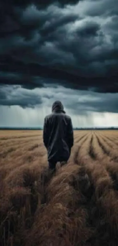 Person walking in field under stormy dark sky.