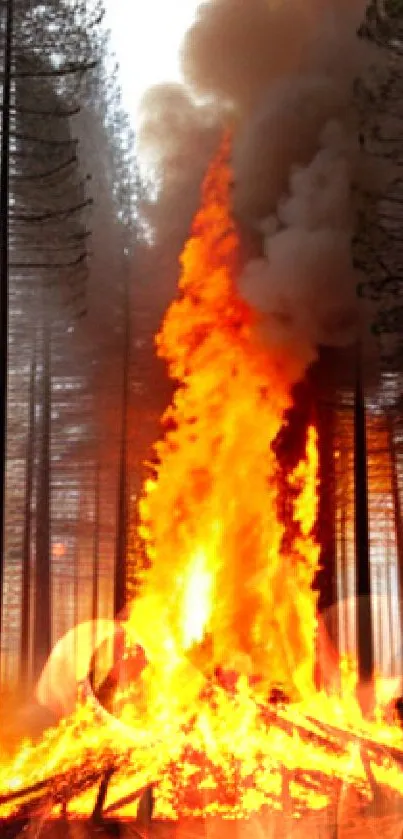 Dramatic forest fire blazing among tall trees.