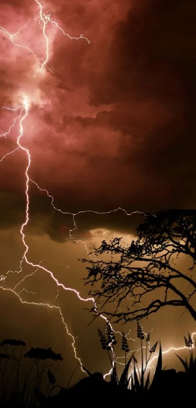 Dramatic lightning strikes illuminate a dark, stormy sky over silhouetted trees.