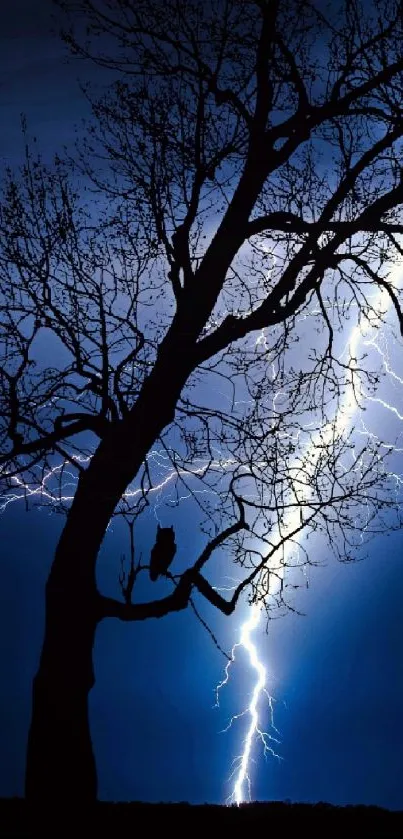 Tree silhouette with lightning bolt in dark blue night sky.