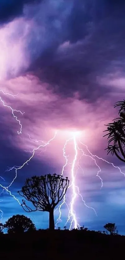 Silhouetted trees under a night sky illuminated by lightning.