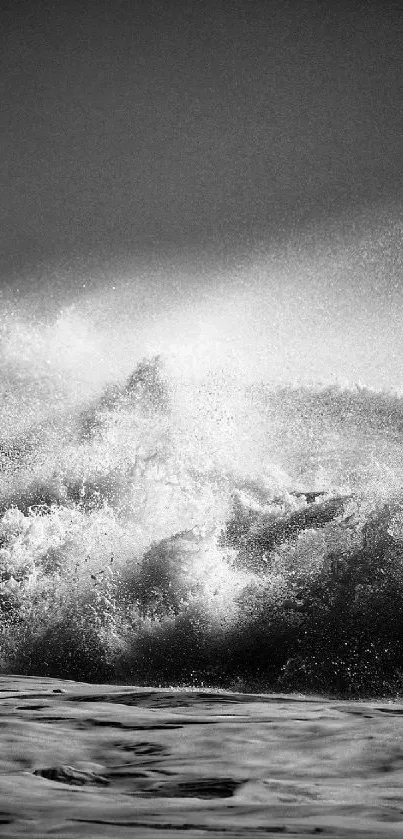 Black and white ocean waves, dramatic splash.