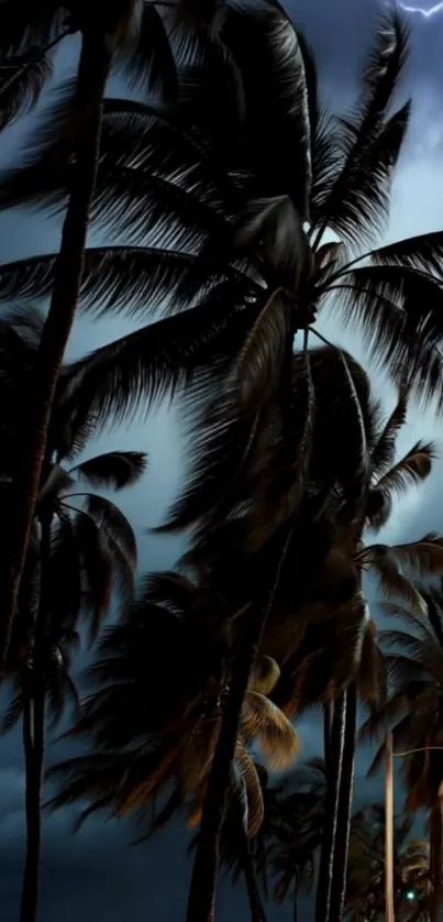 Silhouetted palm trees against a stormy night sky.