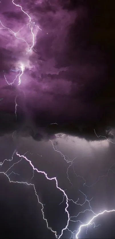 Dramatic wallpaper featuring purple lightning in a stormy night sky.