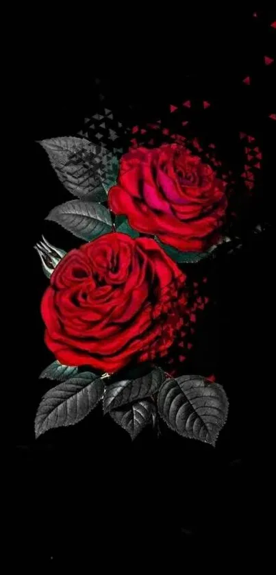 Dramatic red roses on a black background with digital effects.