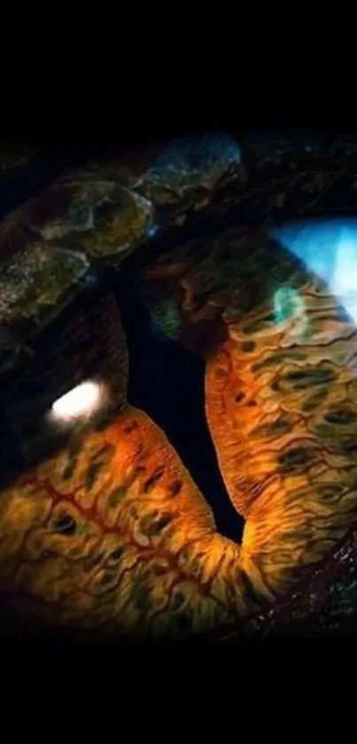 Close-up of a reptilian eye with fiery orange colors and hints of blue.