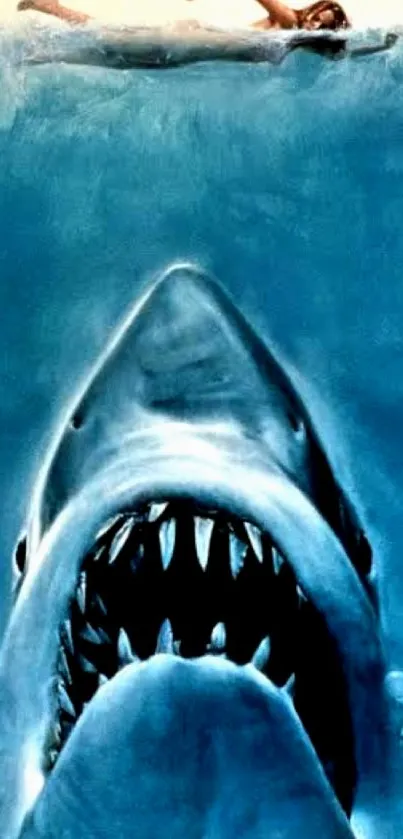 Intense shark attack wallpaper for mobile devices.