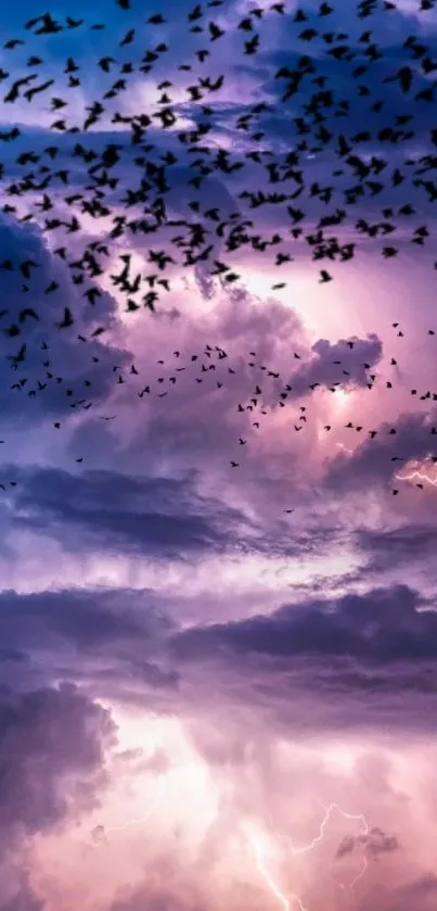 Vibrant purple sky with clouds and birds flying across.