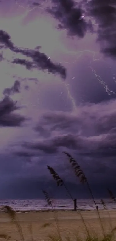 Dramatic stormy skies over a serene beach setting.