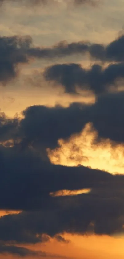 Dramatic sunset with dark clouds over golden sky.