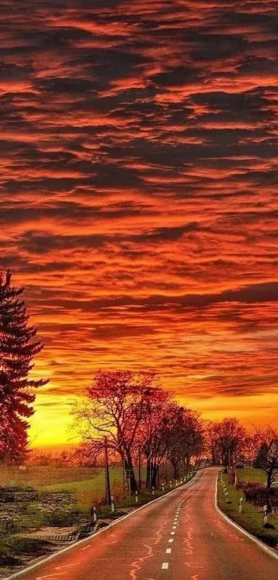 Dramatic sunset over a highway with orange clouds and silhouetted trees.