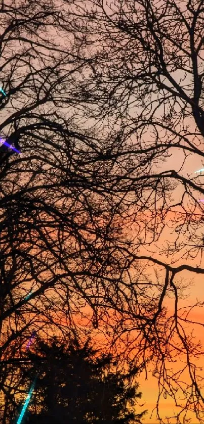 Silhouette of trees against an orange sunset sky, with rooflines visible.