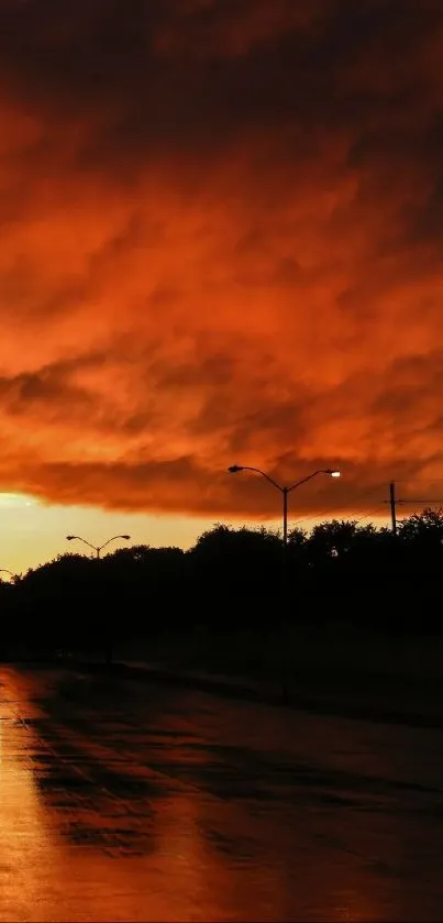 Dramatic sunset over an empty street, silhouetted trees, and reflective surface.