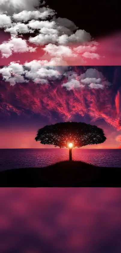 Vivid sunset with silhouette tree against a crimson sky and ocean view.