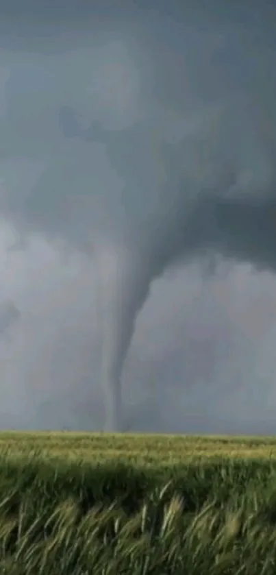 Tornado forming over a grassy field under dark, dramatic clouds.