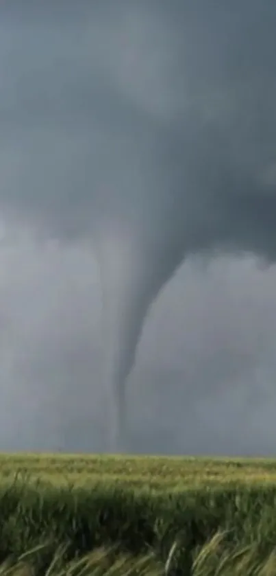 Tornado touching down beneath dark storm clouds, over green fields.
