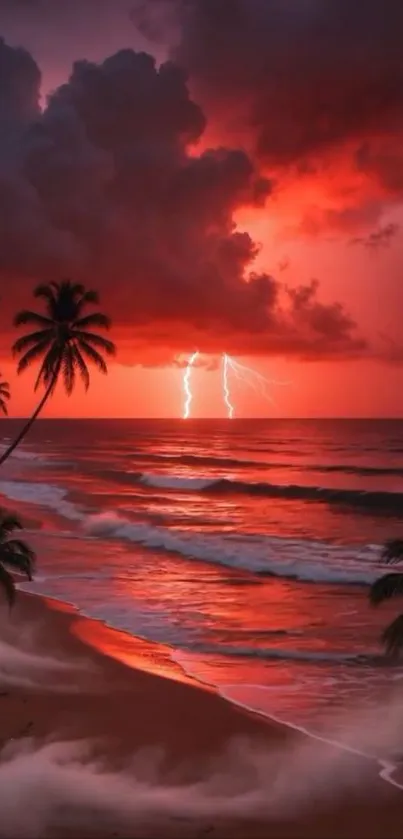 Dramatic sunset beach with lightning and palm trees.