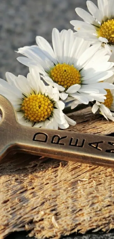 Metal dream key with white daisies on a wooden surface.