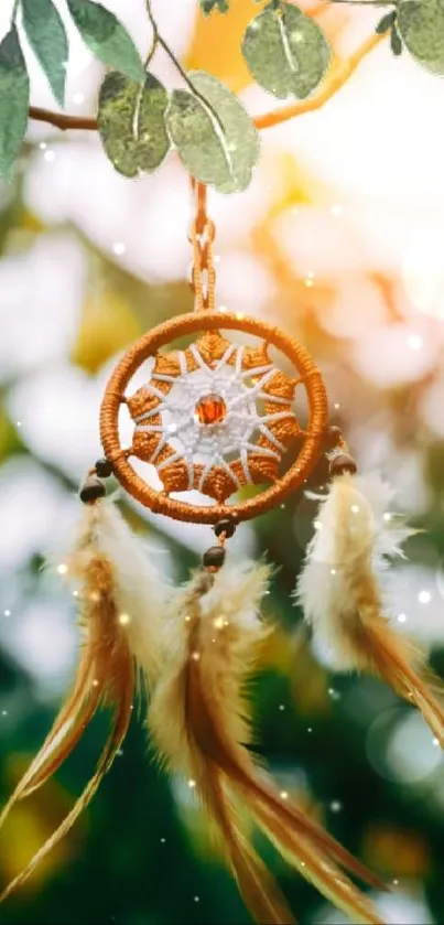 Dreamcatcher with feathers in nature with bokeh background.