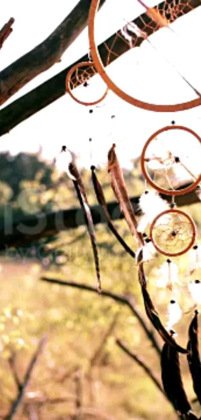 Dreamcatcher hanging in a rustic outdoor setting.