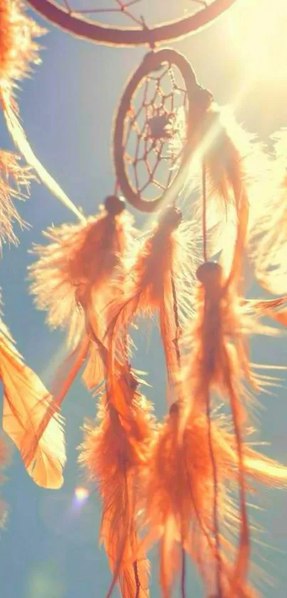 Dreamcatcher with orange feathers in sunlight, against a bright sky.