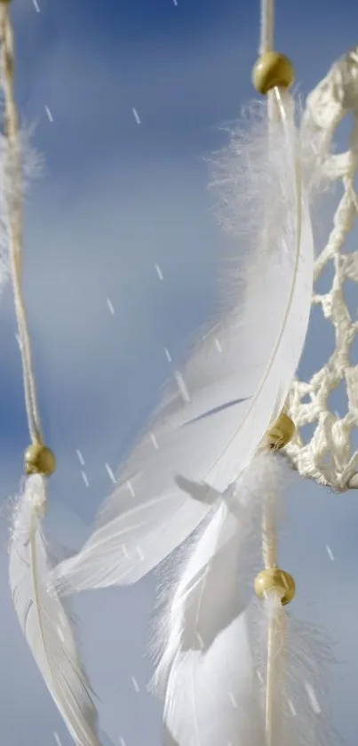 Dreamcatcher with white feathers and blue sky background.