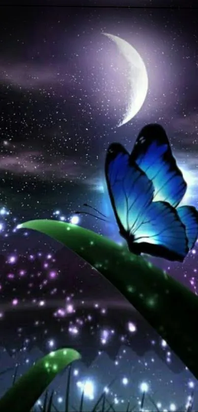 A blue butterfly sits on a leaf under a starry night sky with a crescent moon.