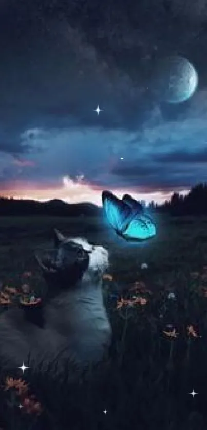 Cat and glowing butterfly under a mystical night sky.