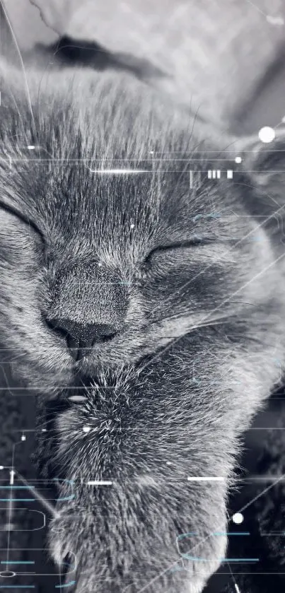 Sleeping cat in cyber aesthetic with digital elements, gray tones.