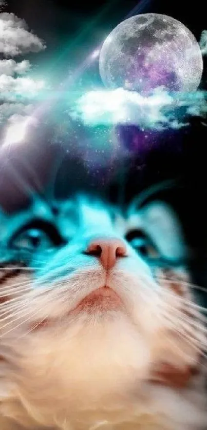 A curious cat gazes at a glowing moon under a dreamy, starry night sky.