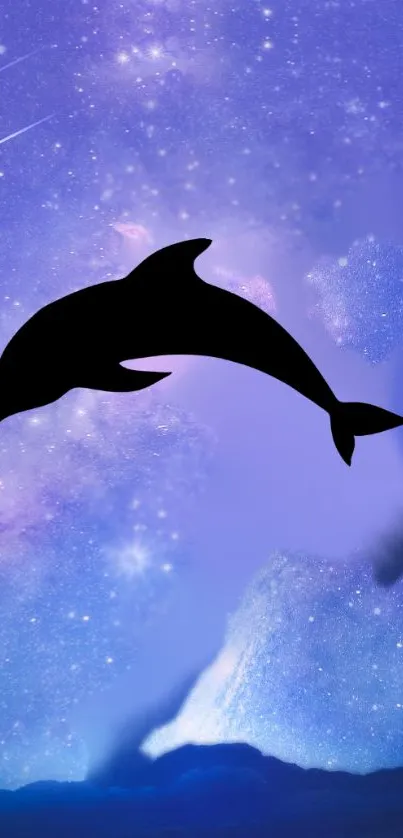 Dolphin silhouette against a starry cosmic purple background.