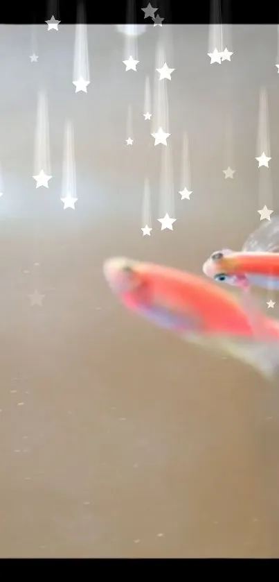 Blurry fish swim with star effects on a tranquil beige background.