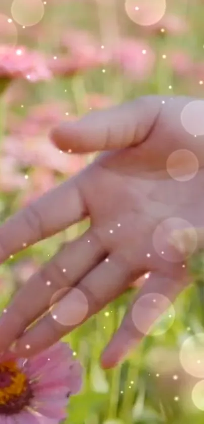 Hand touching pink flowers with magical bokeh effect.