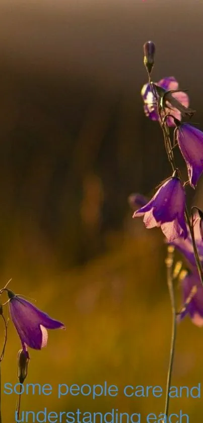 Purple flowers against a sunset background with 'Love' text overlay.