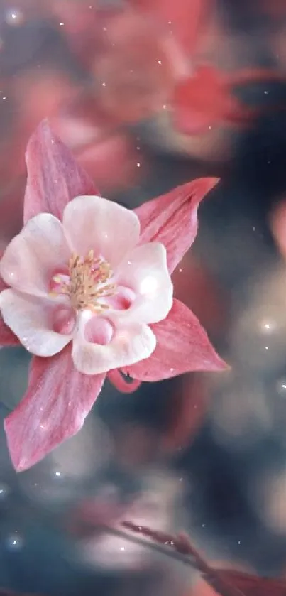 Enchanting pink flower with dark blurred background.