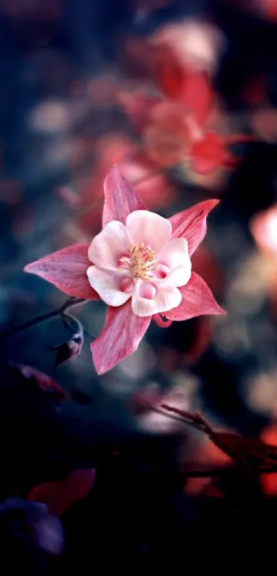 A dreamy floral wallpaper with a pink blossom on a dark background.