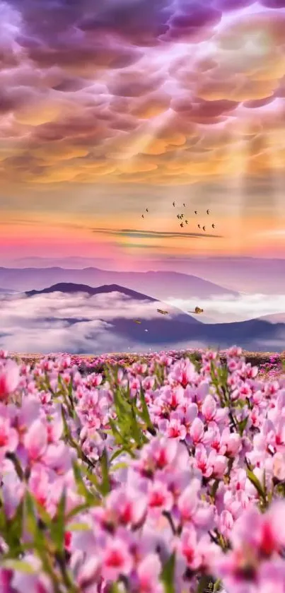 Floral field with pink flowers under a dreamy sunrise sky over mountains.