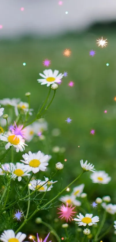 A dreamy floral phone wallpaper with daisies and colorful sparkles.