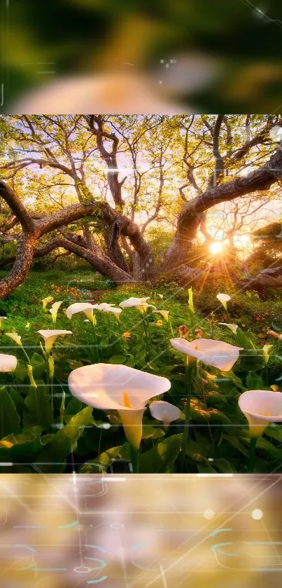 Serene forest with sunlight and flowers wallpaper.