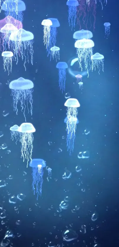 Serene wallpaper with glowing blue jellyfish in a deep ocean setting.