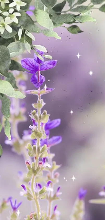 Lavender floral wallpaper with delicate blooms.