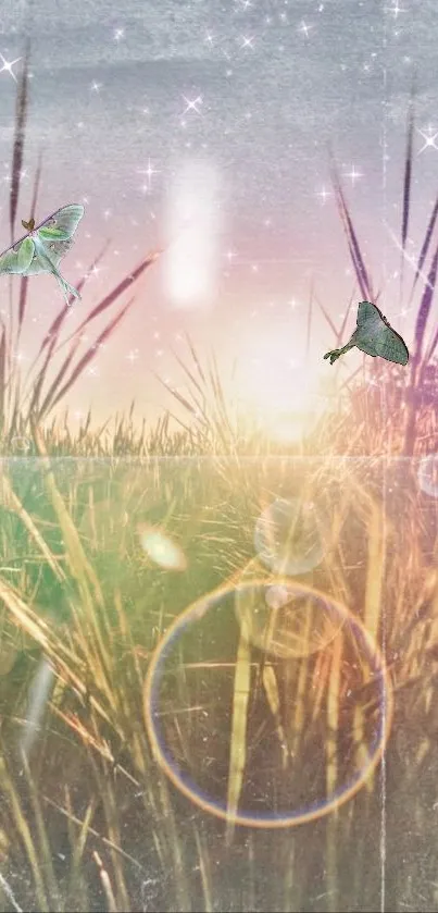 Whimsical wallpaper with butterflies and sparkles over grassy sunset.