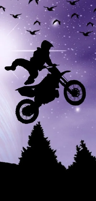 Whimsical scene with biker and unicorns under a purple starry sky.