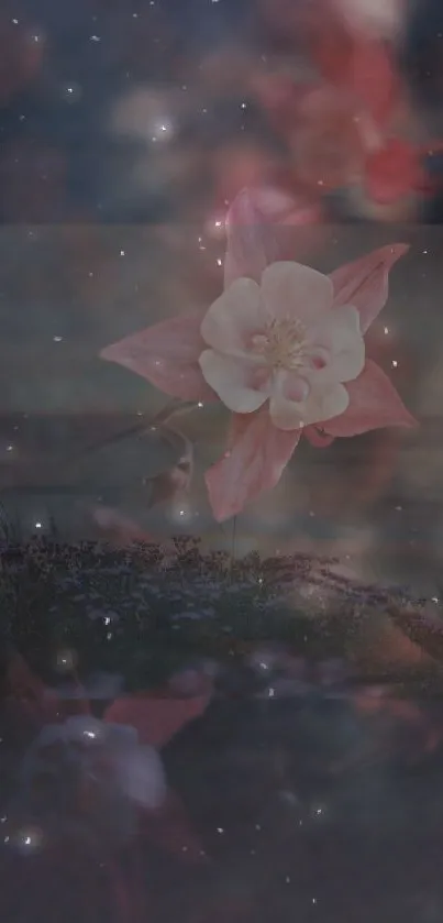 Dreamy flower with starry night sky background wallpaper.