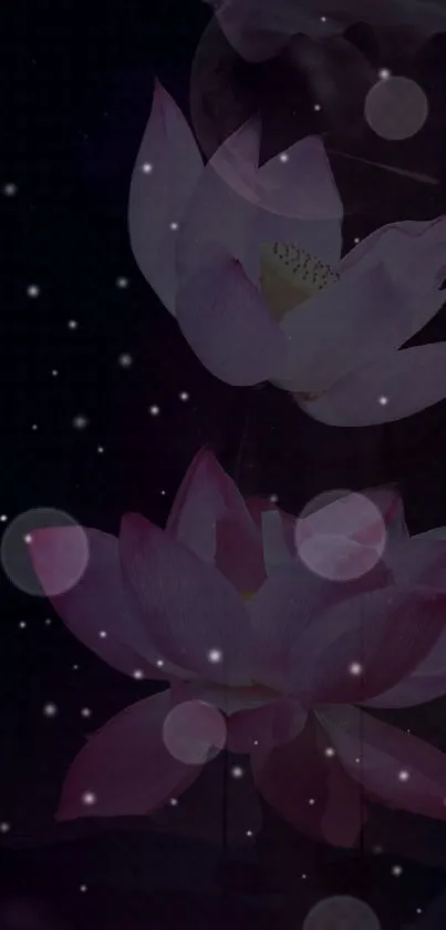 Enchanting lotus flowers under a starry night sky with dreamy effects.