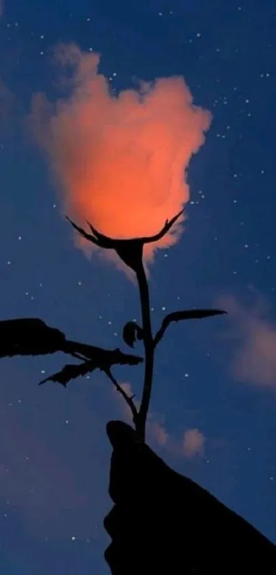 Orange glowing rose against starry night sky.