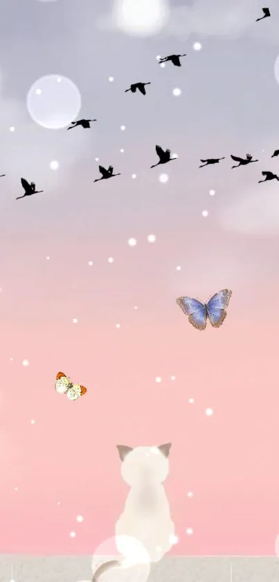 Pastel cat wallpaper with butterflies in a dreamy sky.