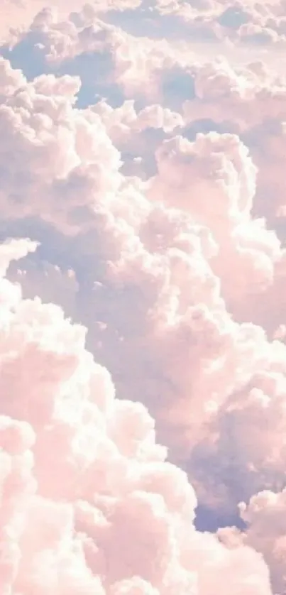 A dreamy pink cloudscape fills the sky.