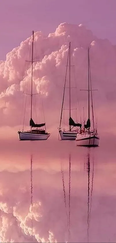 Three sailboats reflected under dreamy pink clouds on calm water.