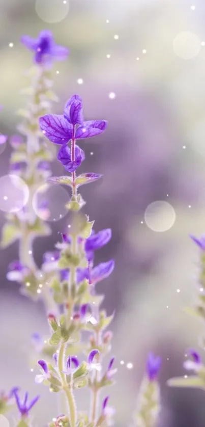 Dreamy purple flowers with soft ethereal light effects.